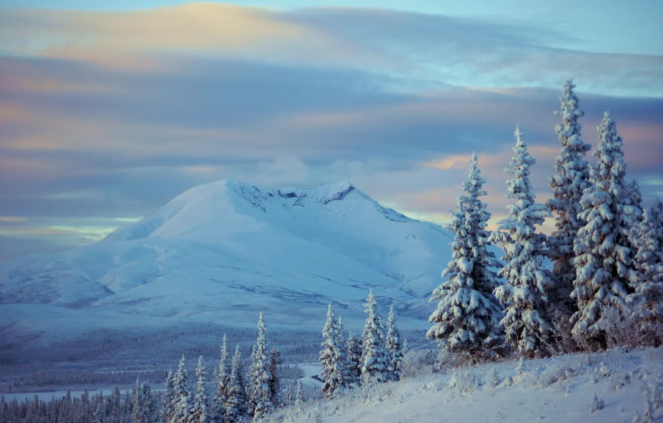 Фото обои зима, снег, деревья, горы, ели, Аляска, Alaska