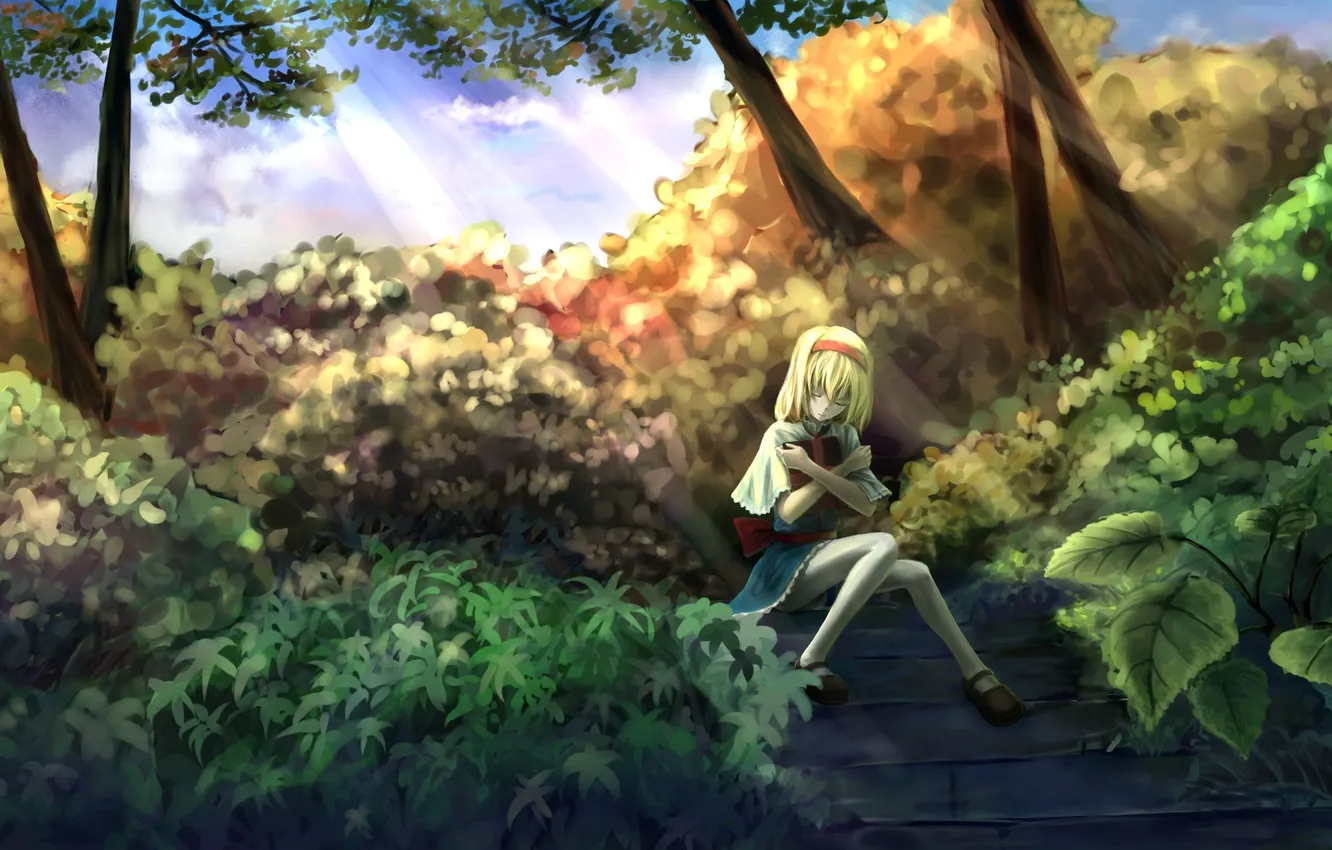 Фото обои девушка, подарок, сад, ступени, touhou, alice margatroid