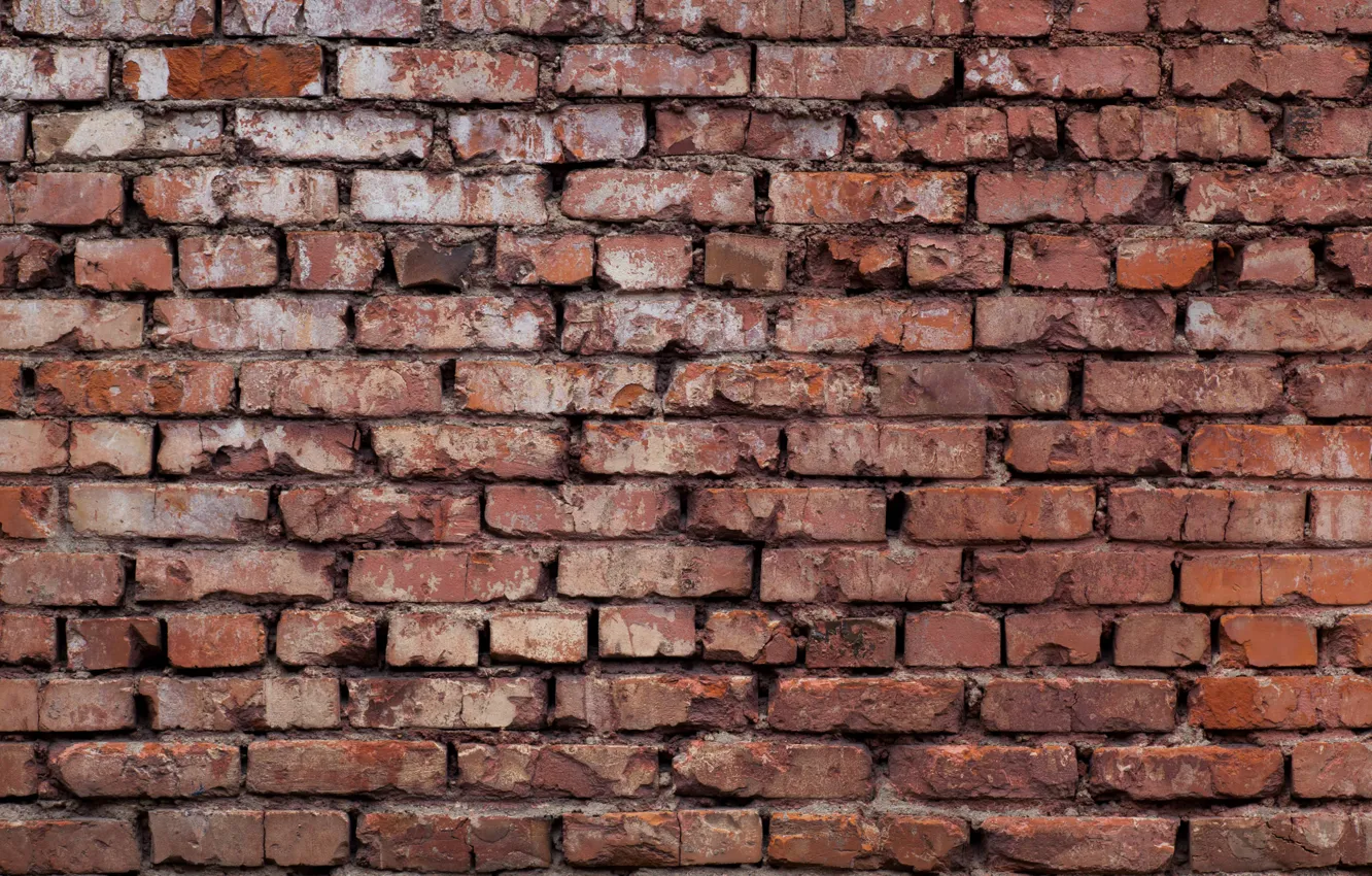 Фото обои red, wall, bricks