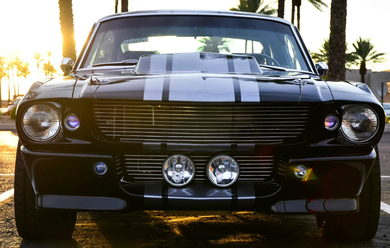 Фото обои Mustang, Ford, Shelby, GT500, Black, Muscle car, Super Snake, American car