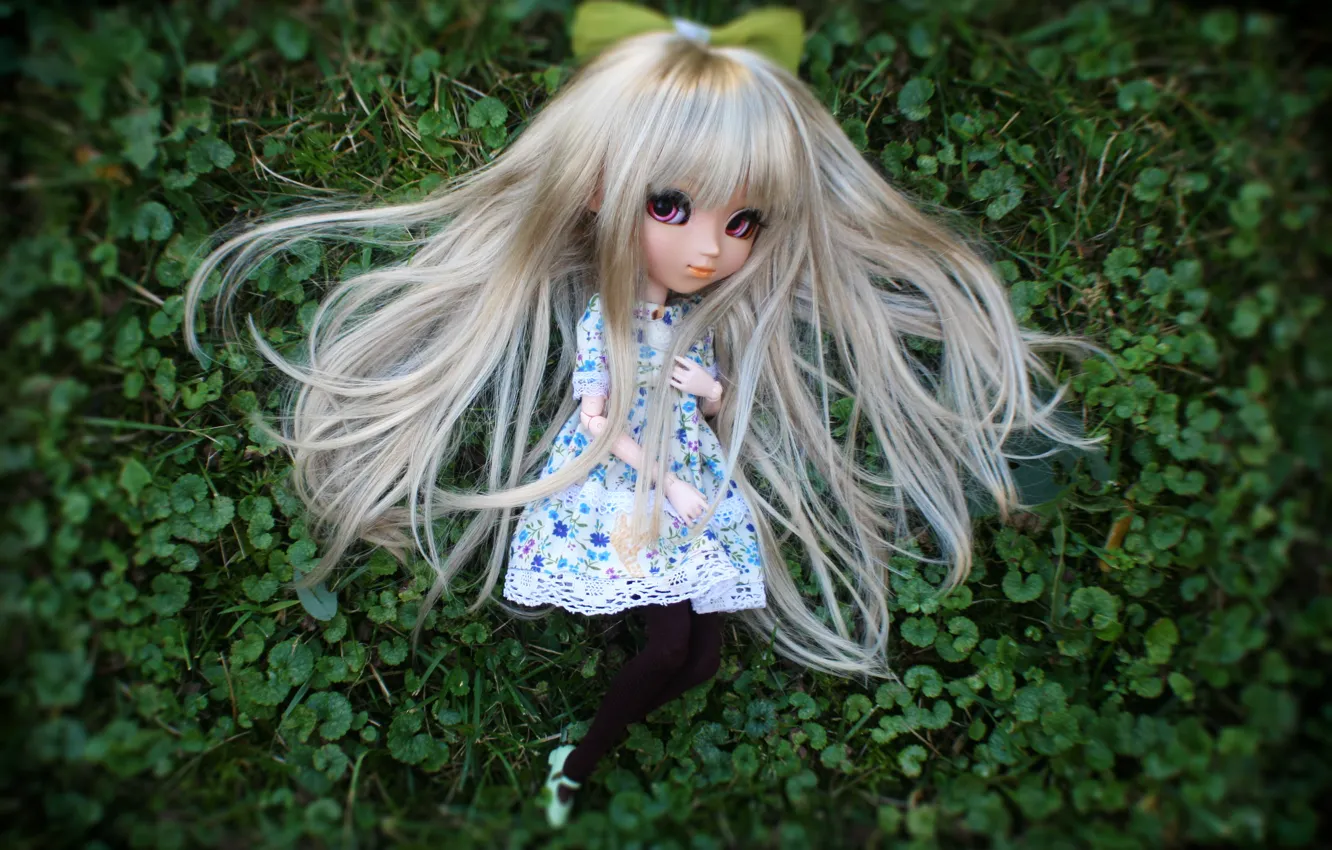 Фото обои трава, кукла, длинные волосы
