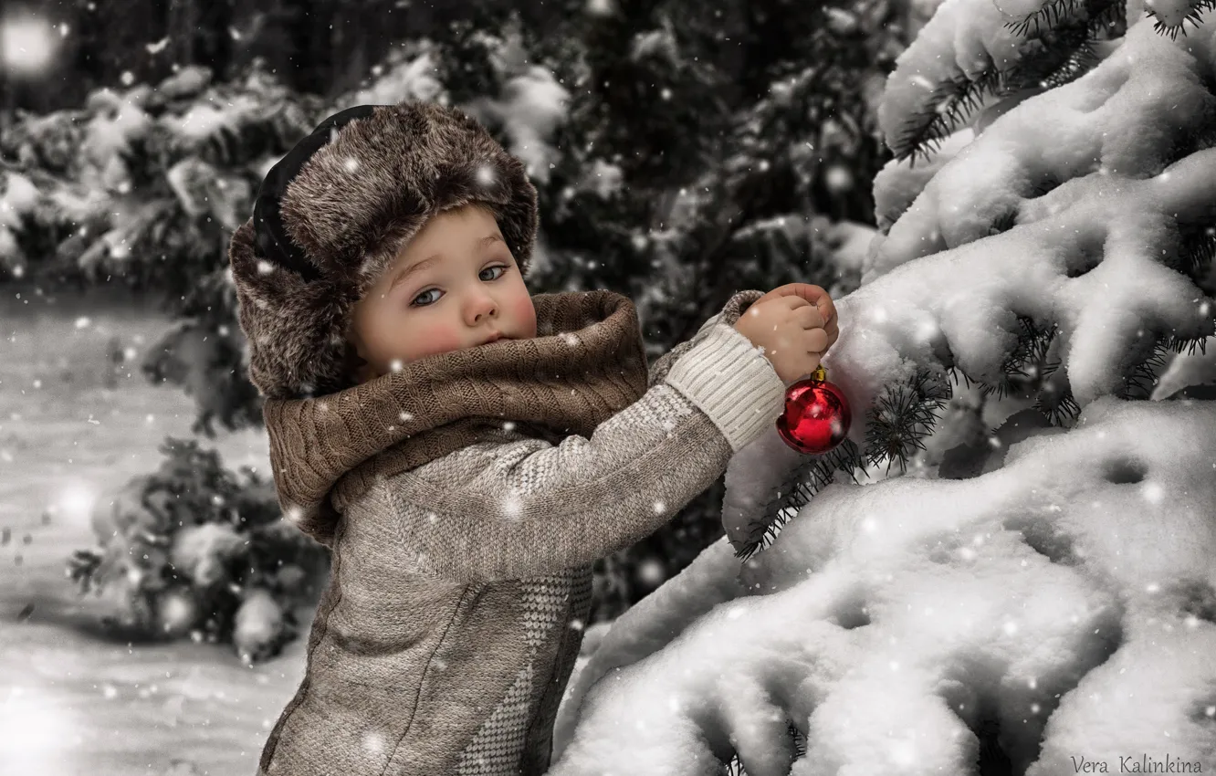 Фото обои зима, снег, игрушка, елка, мальчик