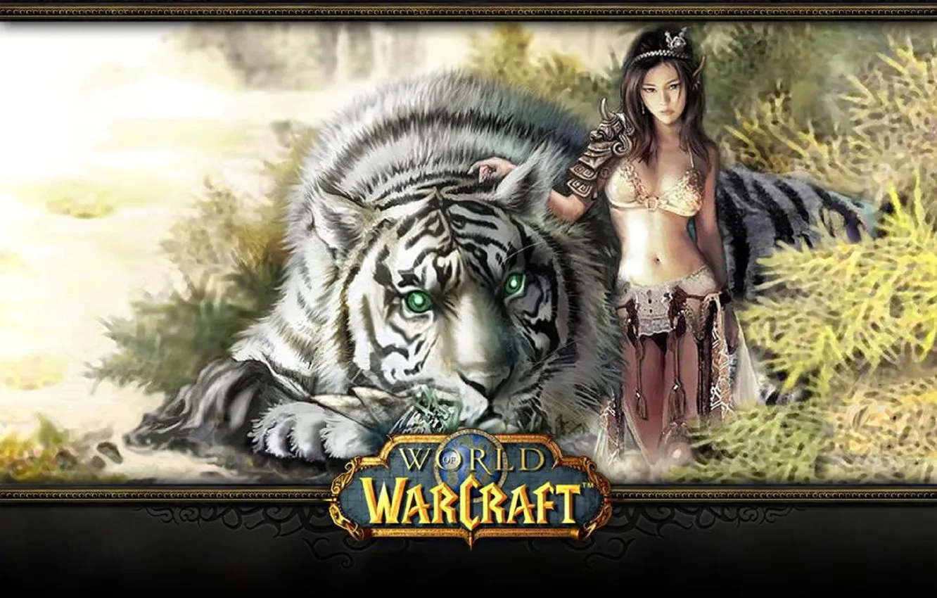 Фото обои games, wow, onlain