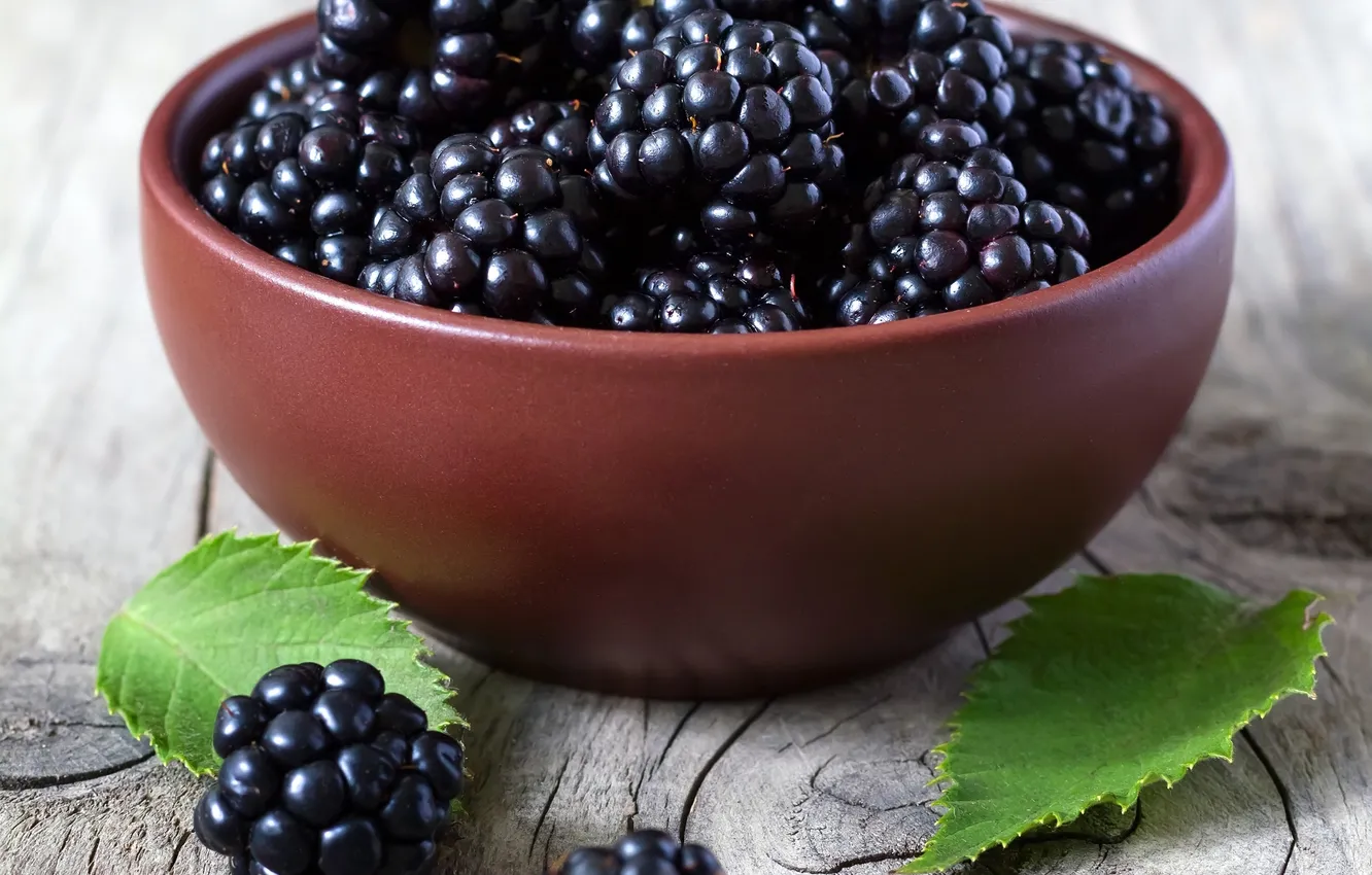 Фото обои миска, листики, leaves, blackberries, bowl, ежевики, свежие ягоды, fresh berries