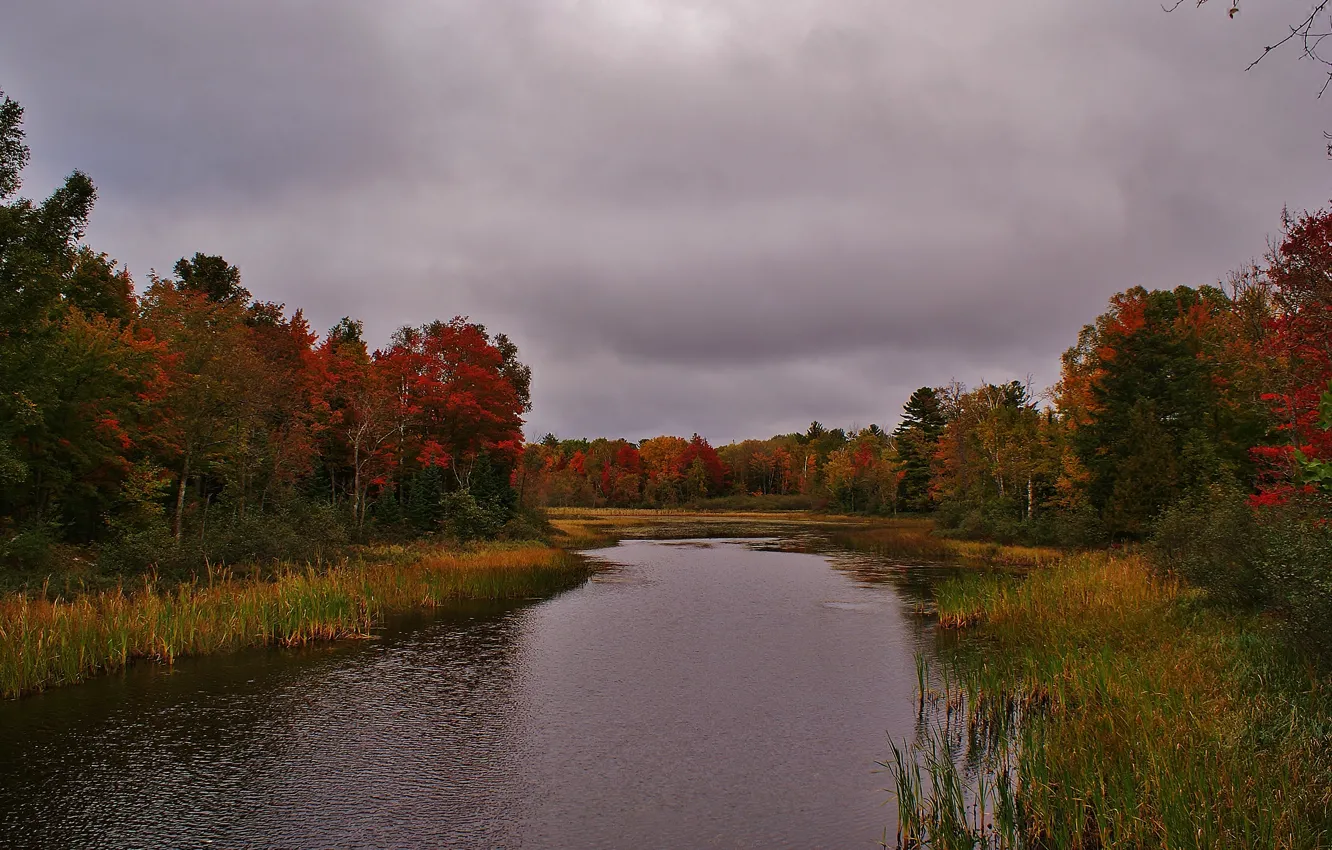Фото обои осень, лес, небо, деревья, тучи, река
