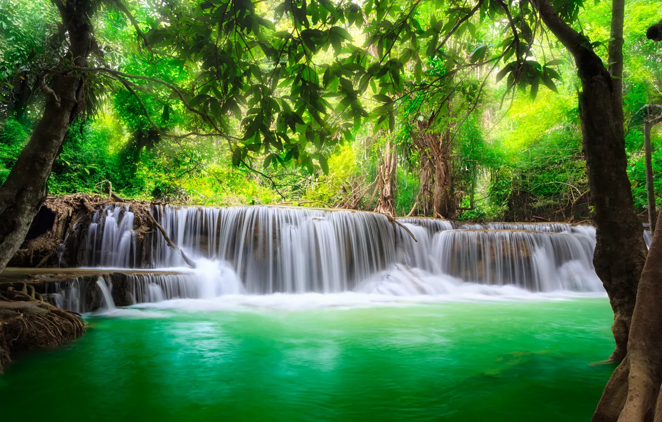 Фото обои водопад, forest, river, water, waterfall, flow, emerald