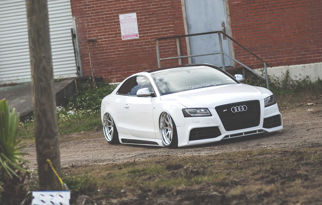 Фото обои Audi, ауди, white, low, stance