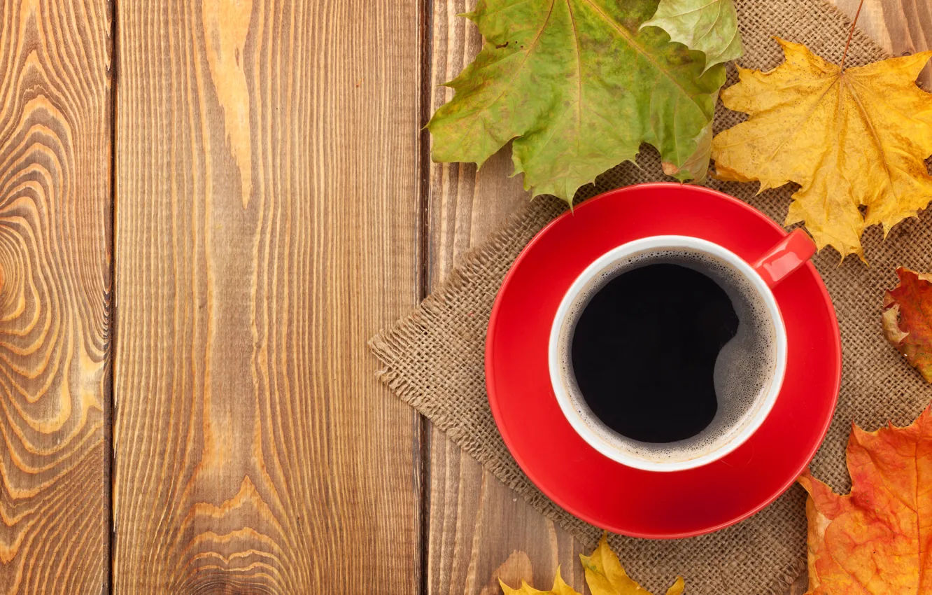 Фото обои осень, кофе, чашка, клён, autumn, leaves, cup, coffee