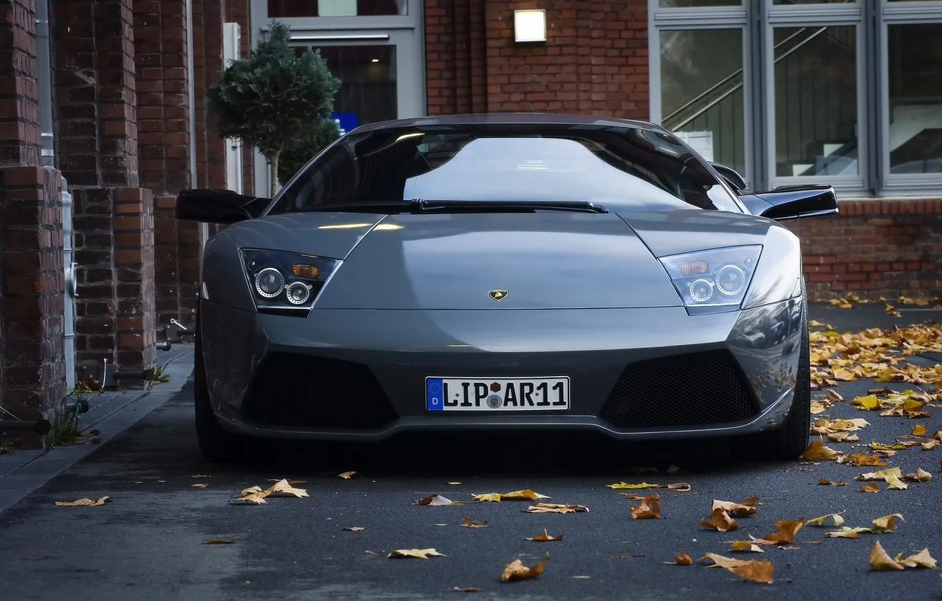 Фото обои car, листья, город, Lamborghini, revenge
