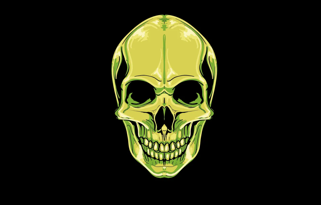Фото обои зеленый, череп, голова, скелет, skull, черный фон