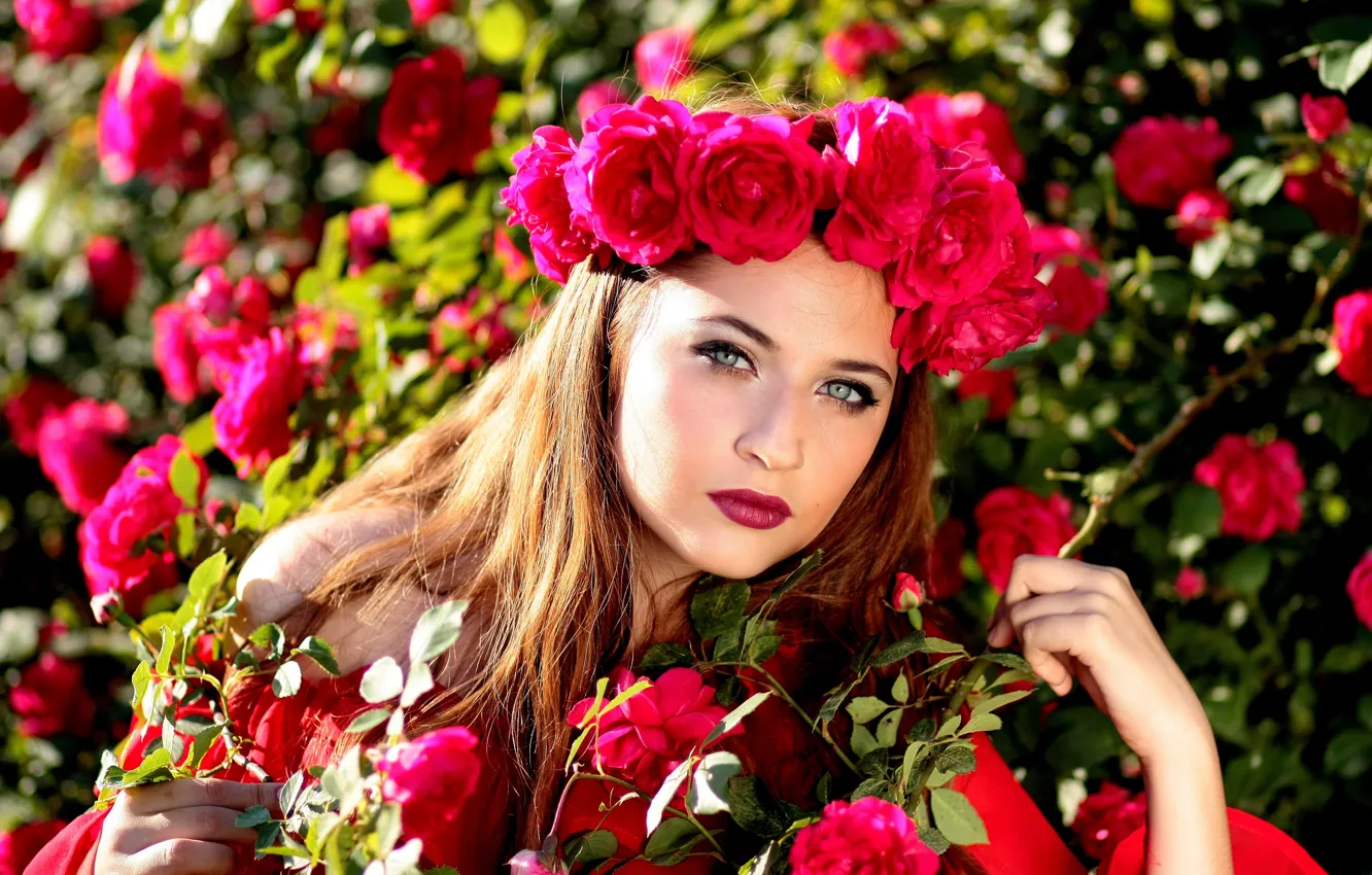 Фото обои взгляд, девушка, розы, венок