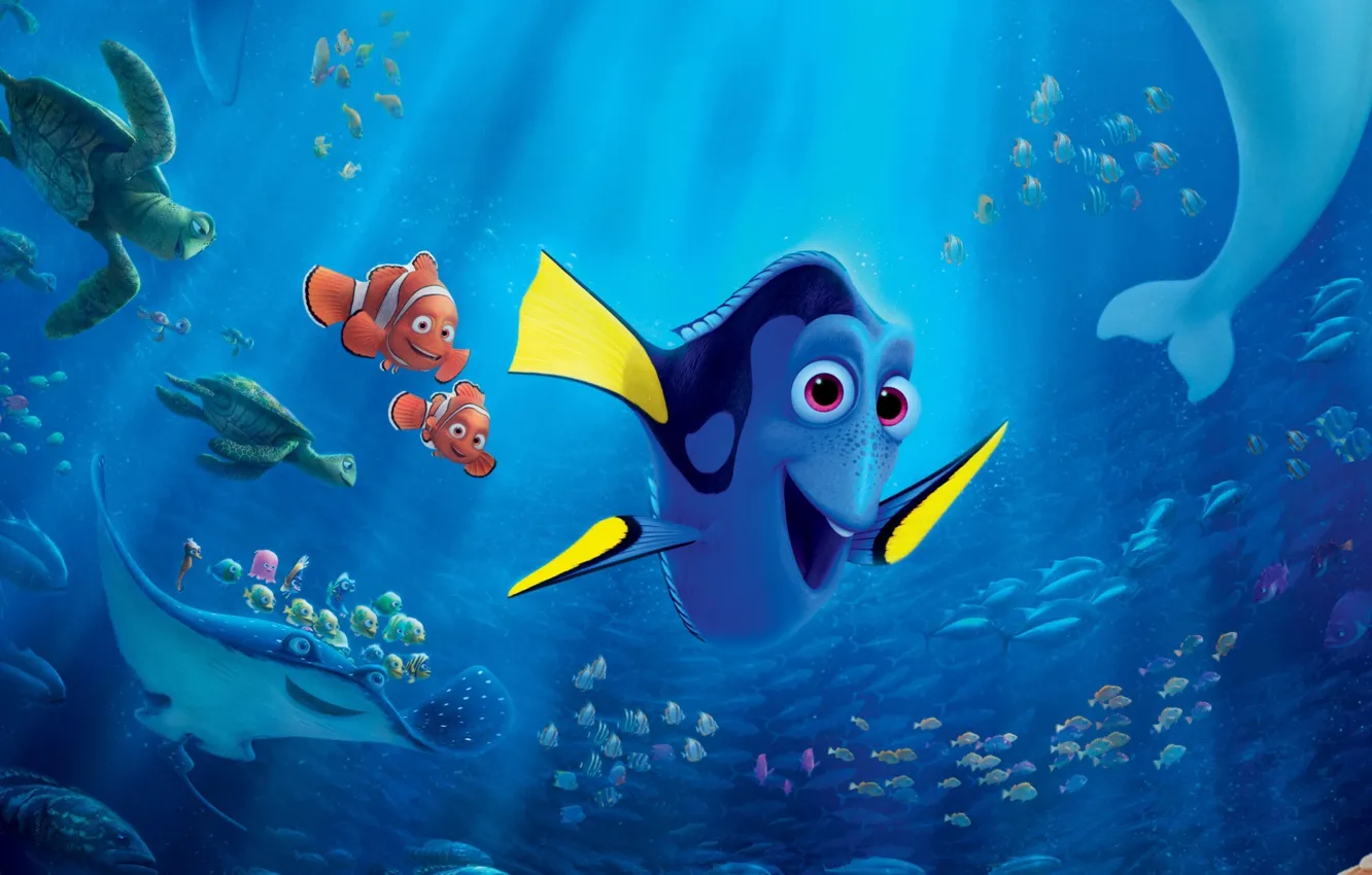 Фото обои colorful, cinema, Pixar, ocean, octopus, eyes, movie, animal