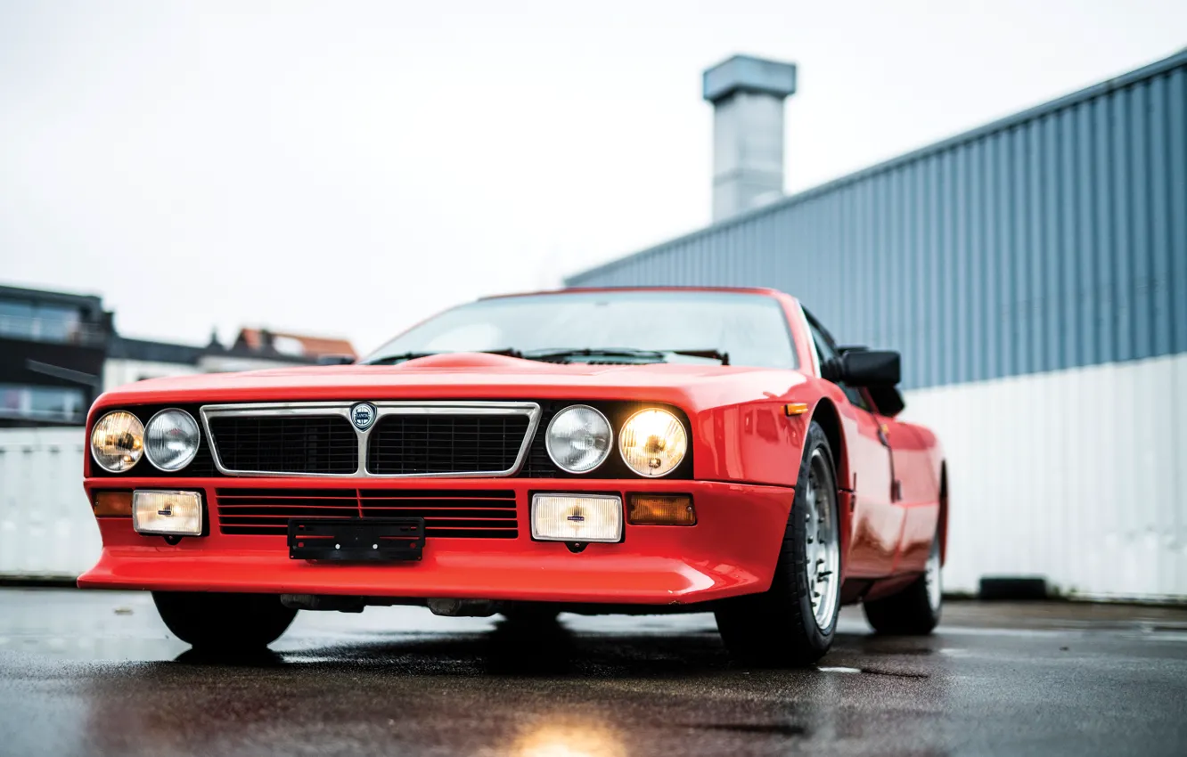 Фото обои front, Lancia, Rally, 1981, Lancia Rally 037 Stradale