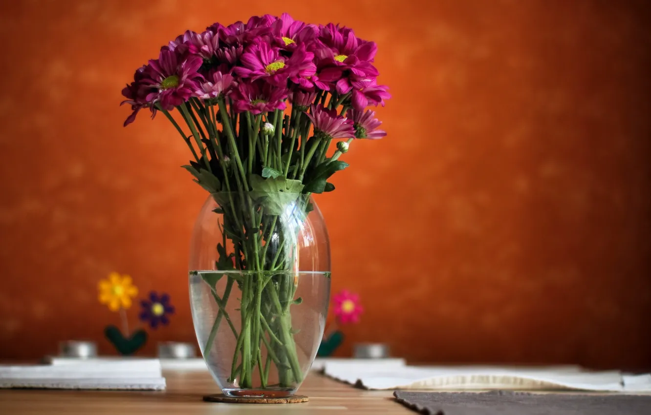 Фото обои вода, цветы, фон, размытость, ваза, розовые