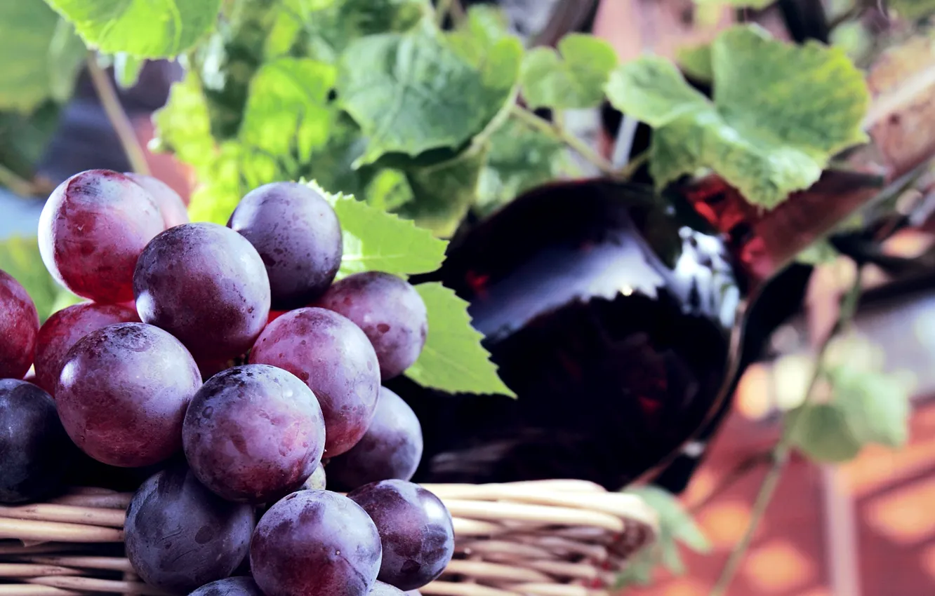 Фото обои ягоды, вино, корзина, бутылка, виноград, гроздь