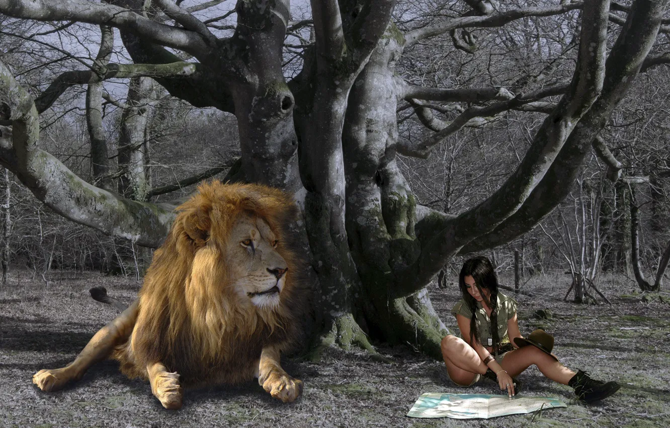 Фото обои девушка, карта, ситуация, лев