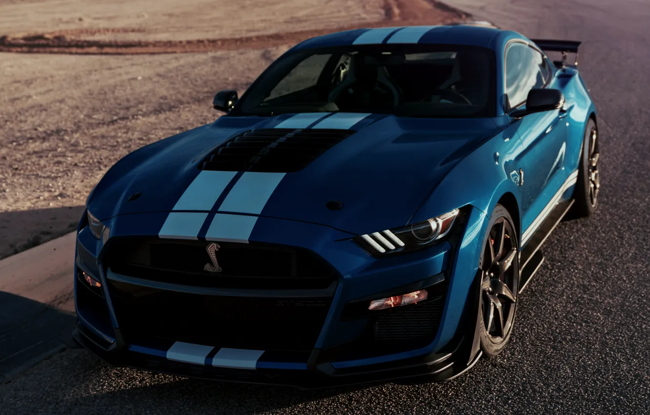 Фото обои асфальт, синий, Mustang, Ford, Shelby, GT500, 2019