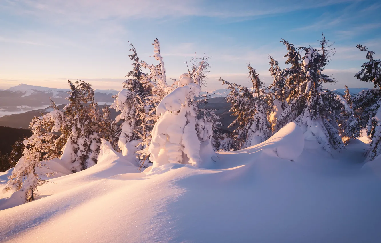Фото обои зима, иней, лес, небо, облака, свет, снег, деревья