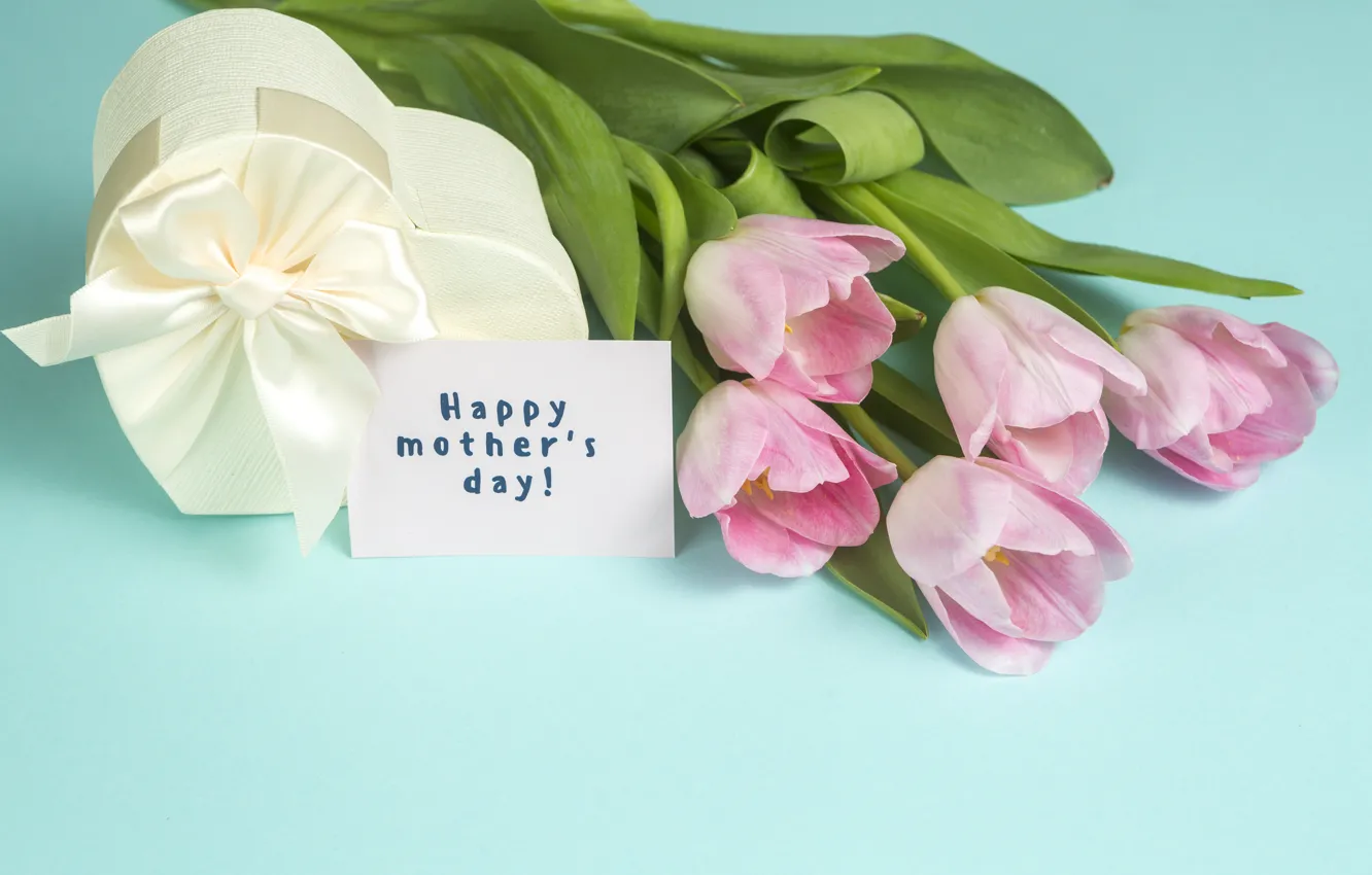 Фото обои подарок, букет, лента, тюльпаны, День матери, Dmytro Sheremeta