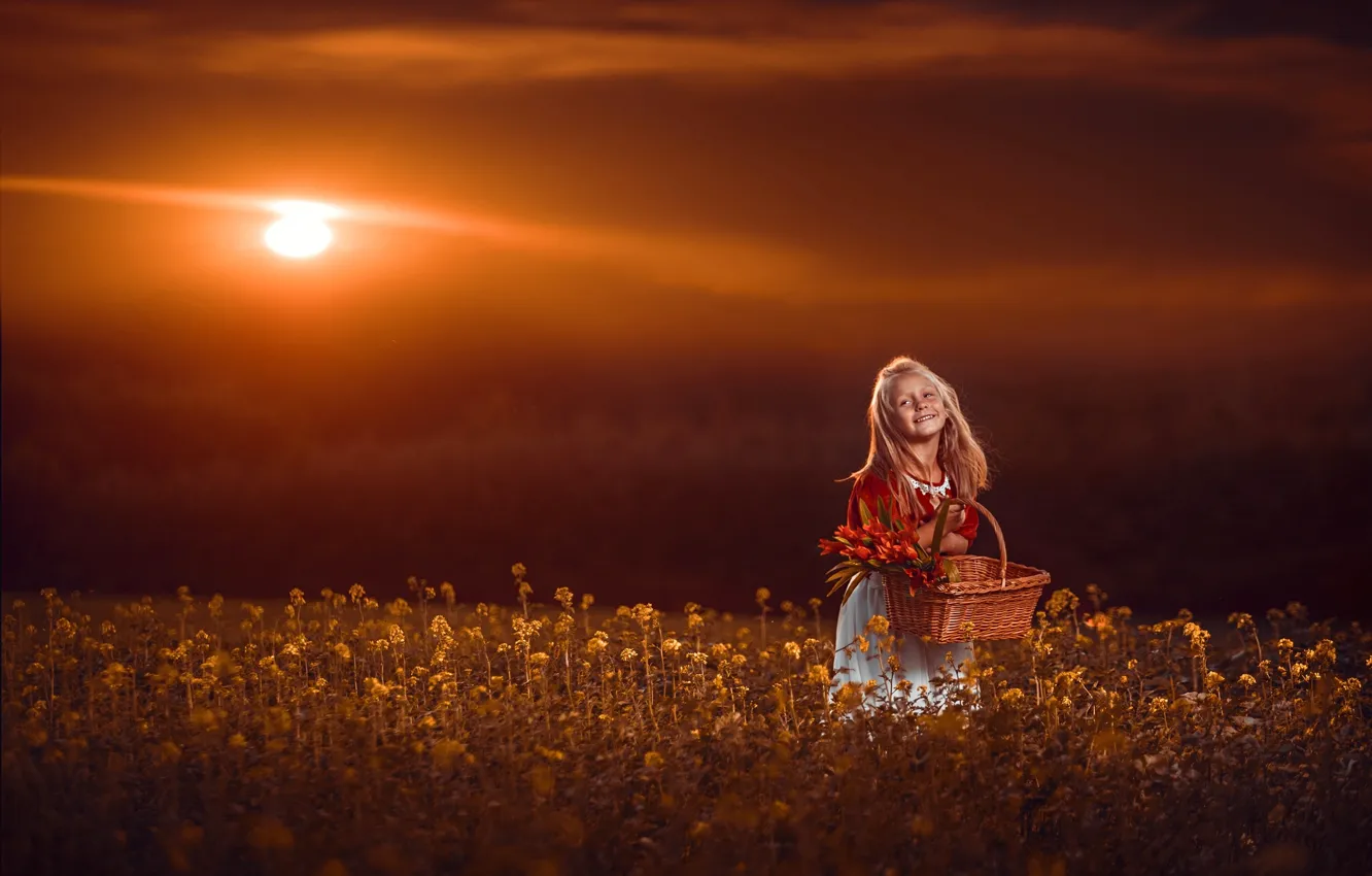 Фото обои поле, закат, цветы, улыбка, настроение, корзина, девочка