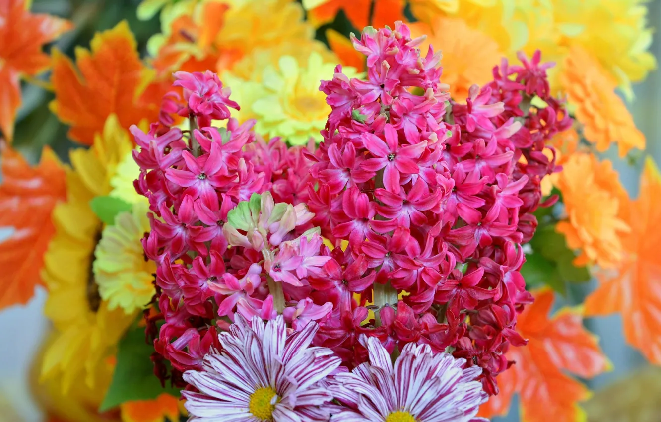 Фото обои Цветы, Цветочки, Flowers, Spring