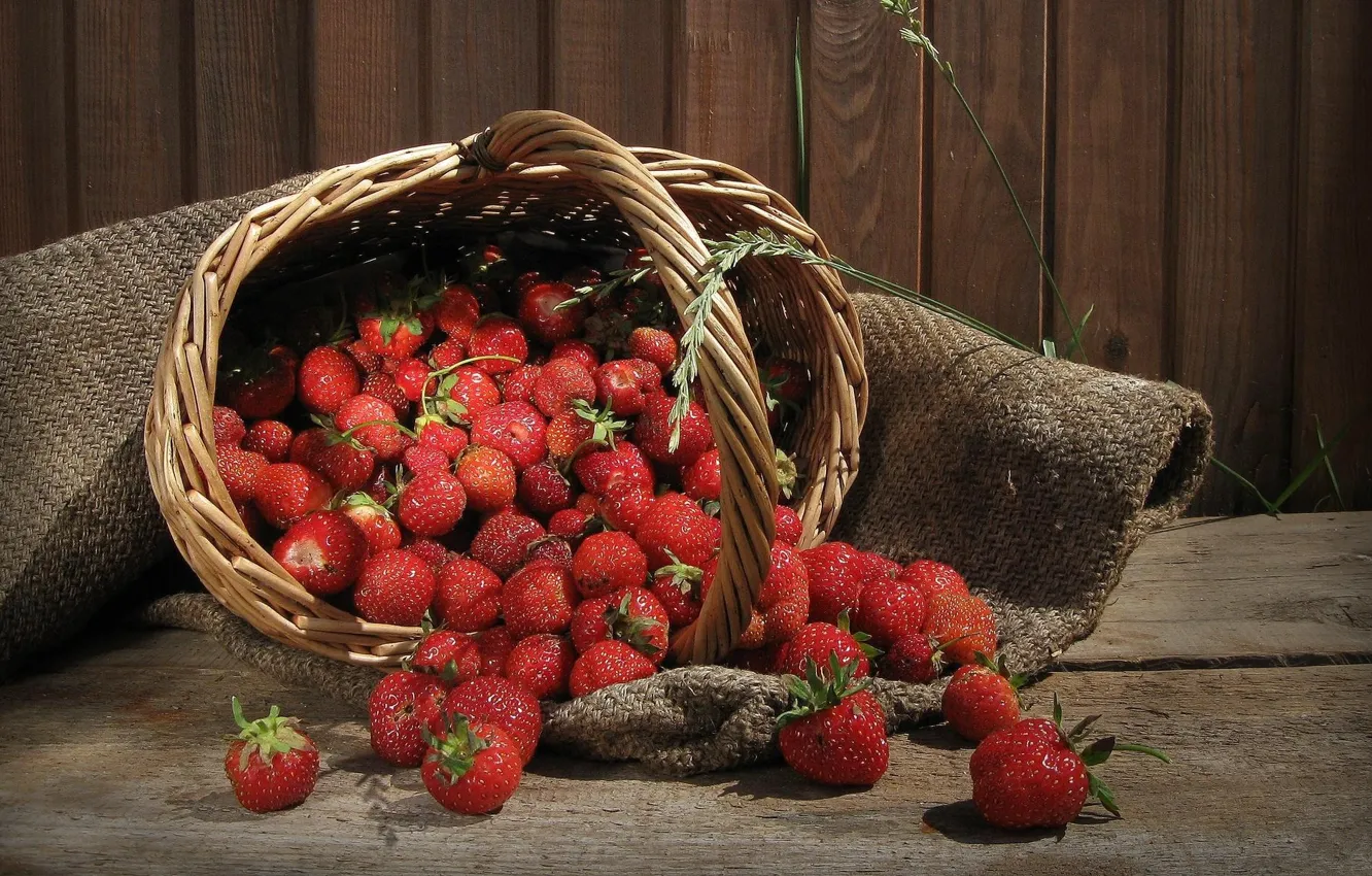 Фото обои ягоды, дерево, клубника, корзинка, лукошко, росыпь