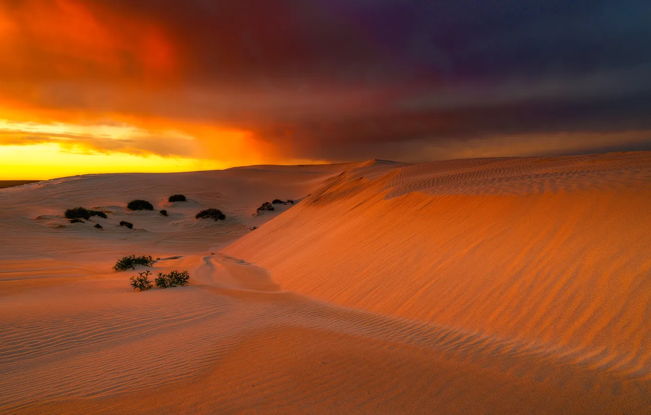 Фото обои песок, небо, облака, пустыня, Австралия, зарево, Eucla
