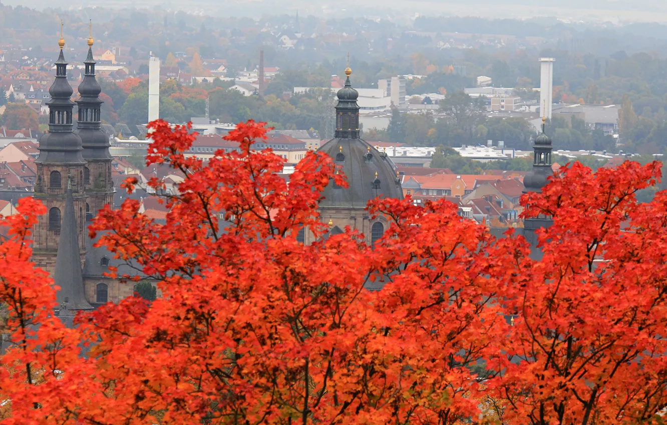 Фото обои осень, листья, деревья, пейзаж, Германия, панорама, собор, Гессен