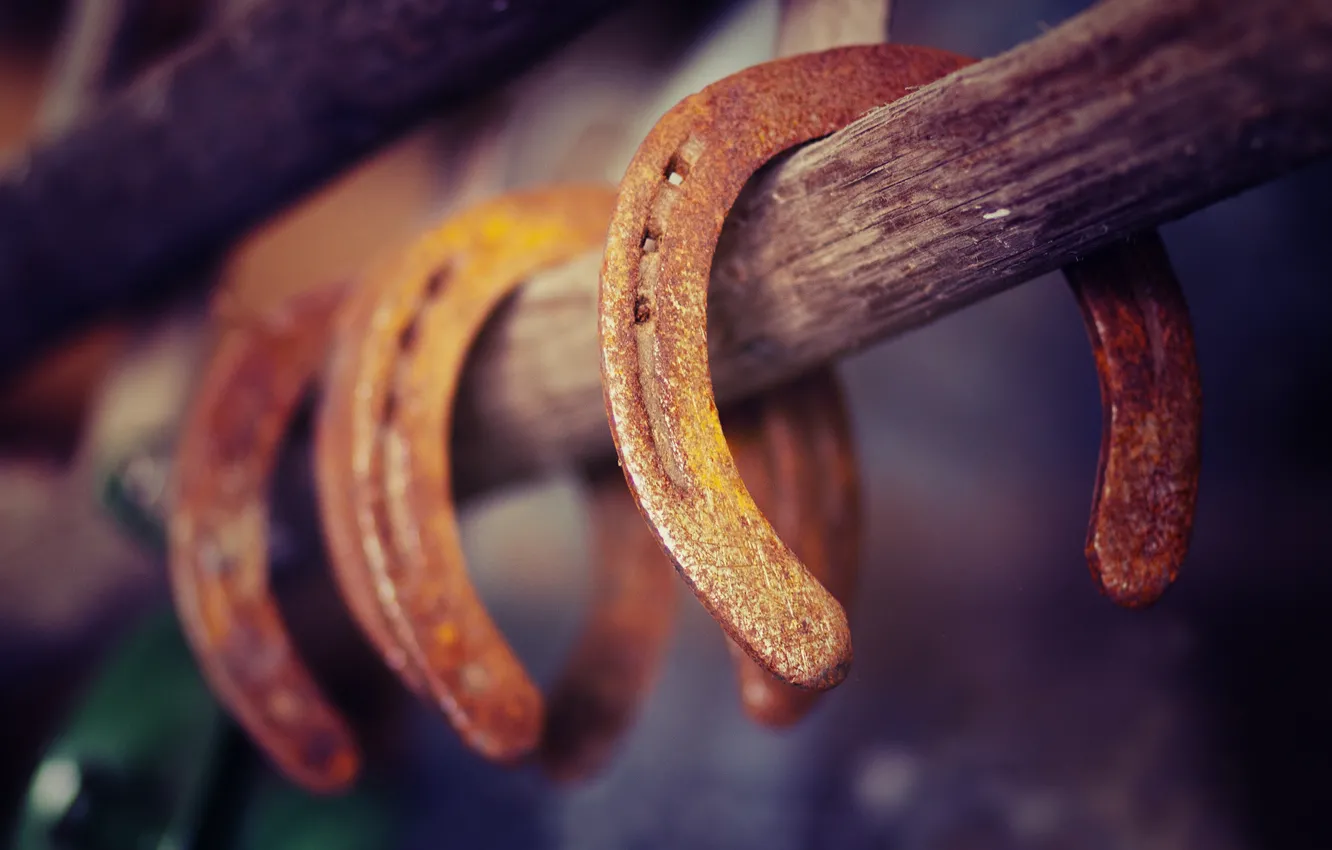 Фото обои rust, Horseshoe, luck
