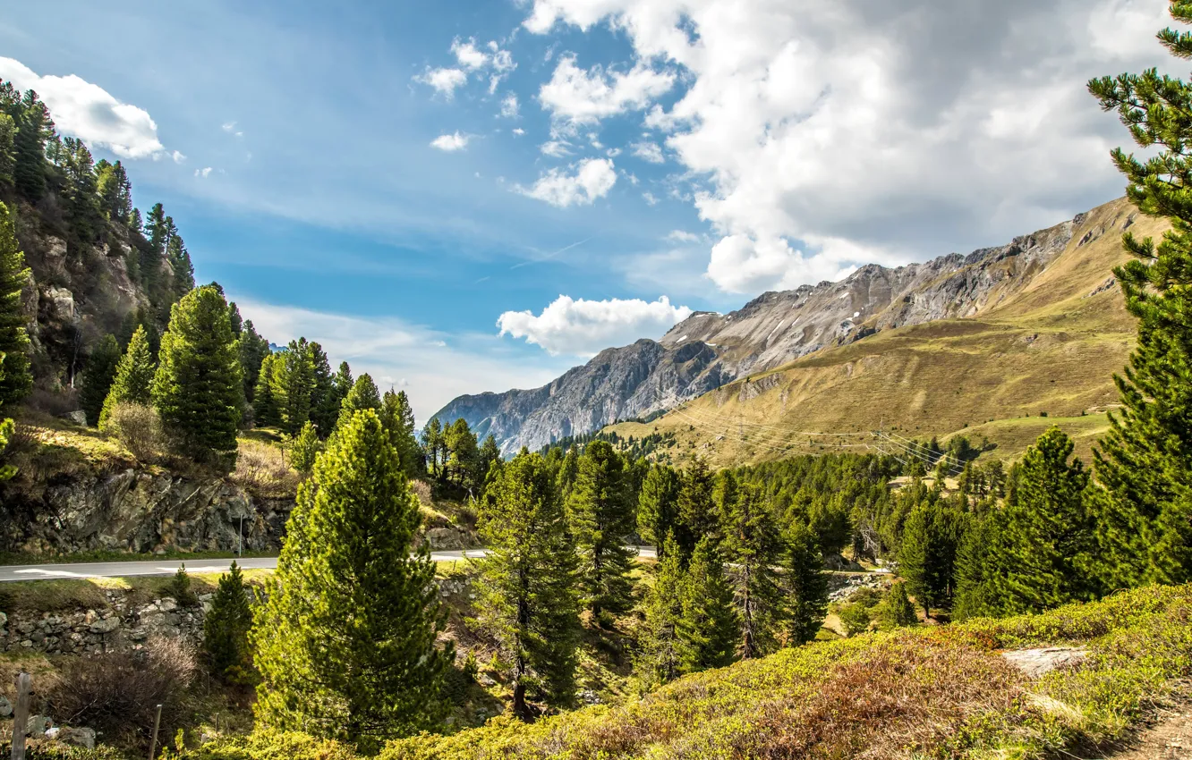 Фото обои дорога, зелень, лес, небо, солнце, облака, деревья, горы