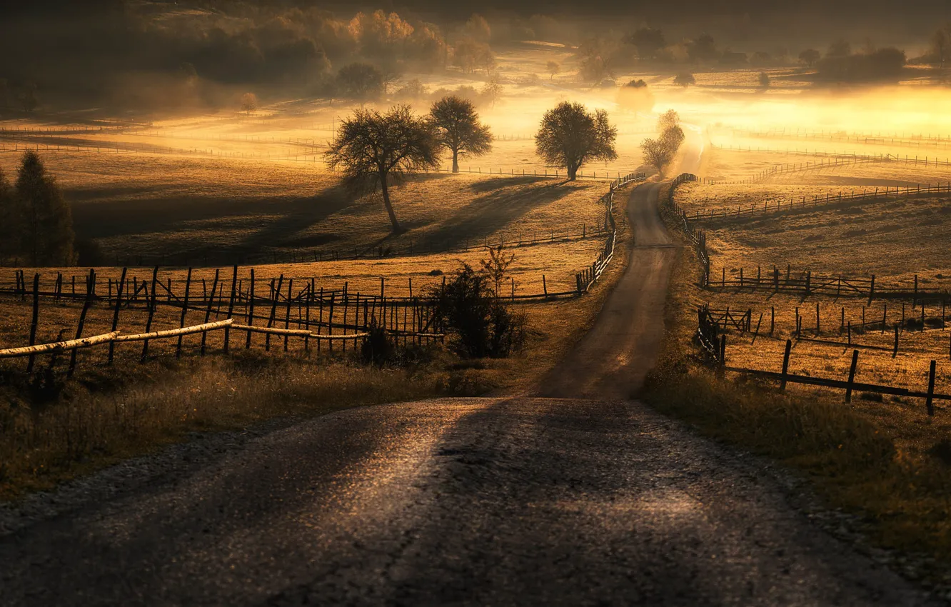 Фото обои дорога, солнце, поля, Adnan Bubalo