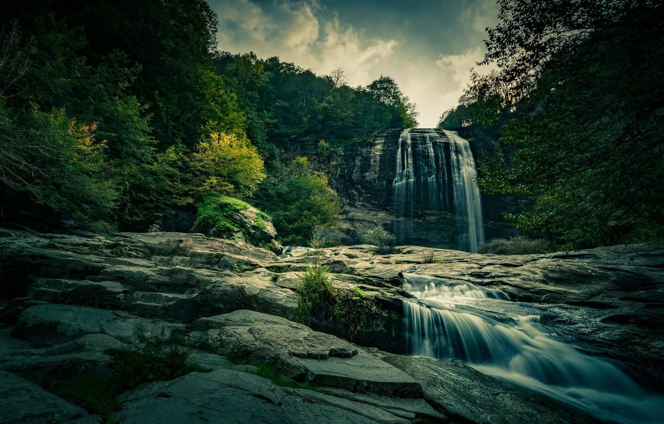 Фото обои лес, водопад, поток