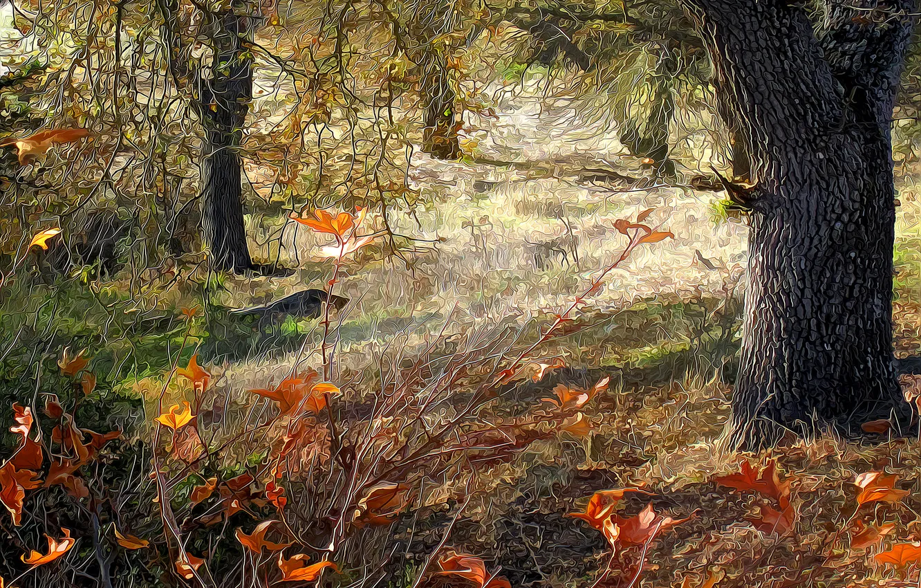 Фото обои осень, лес, деревья, рендеринг