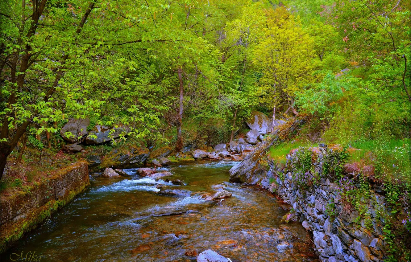 Фото обои Поток, Деревья, Лес, Речка, River, Forest, Trees, Flow