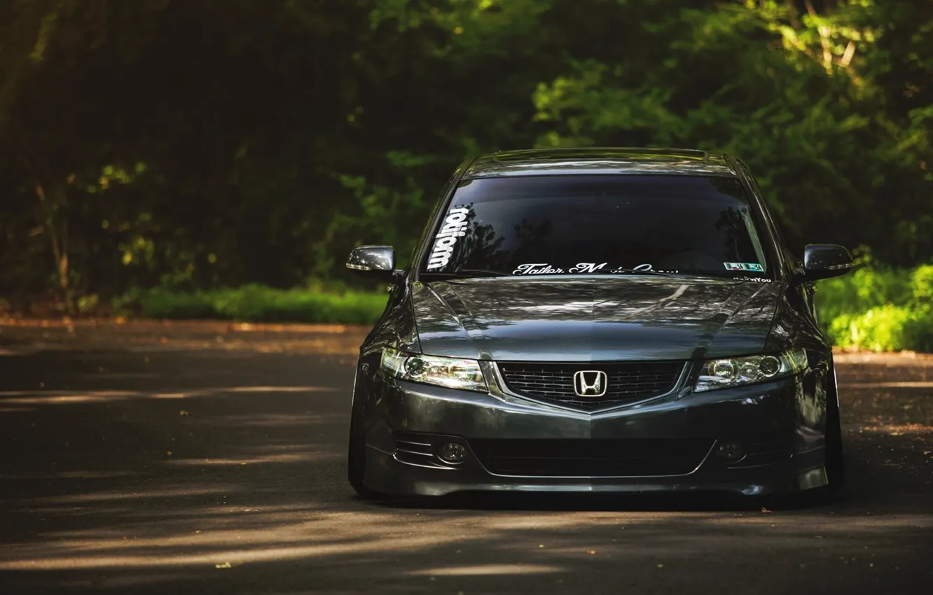 Фото обои лес, перед, Honda, Accord, stance, rotiform