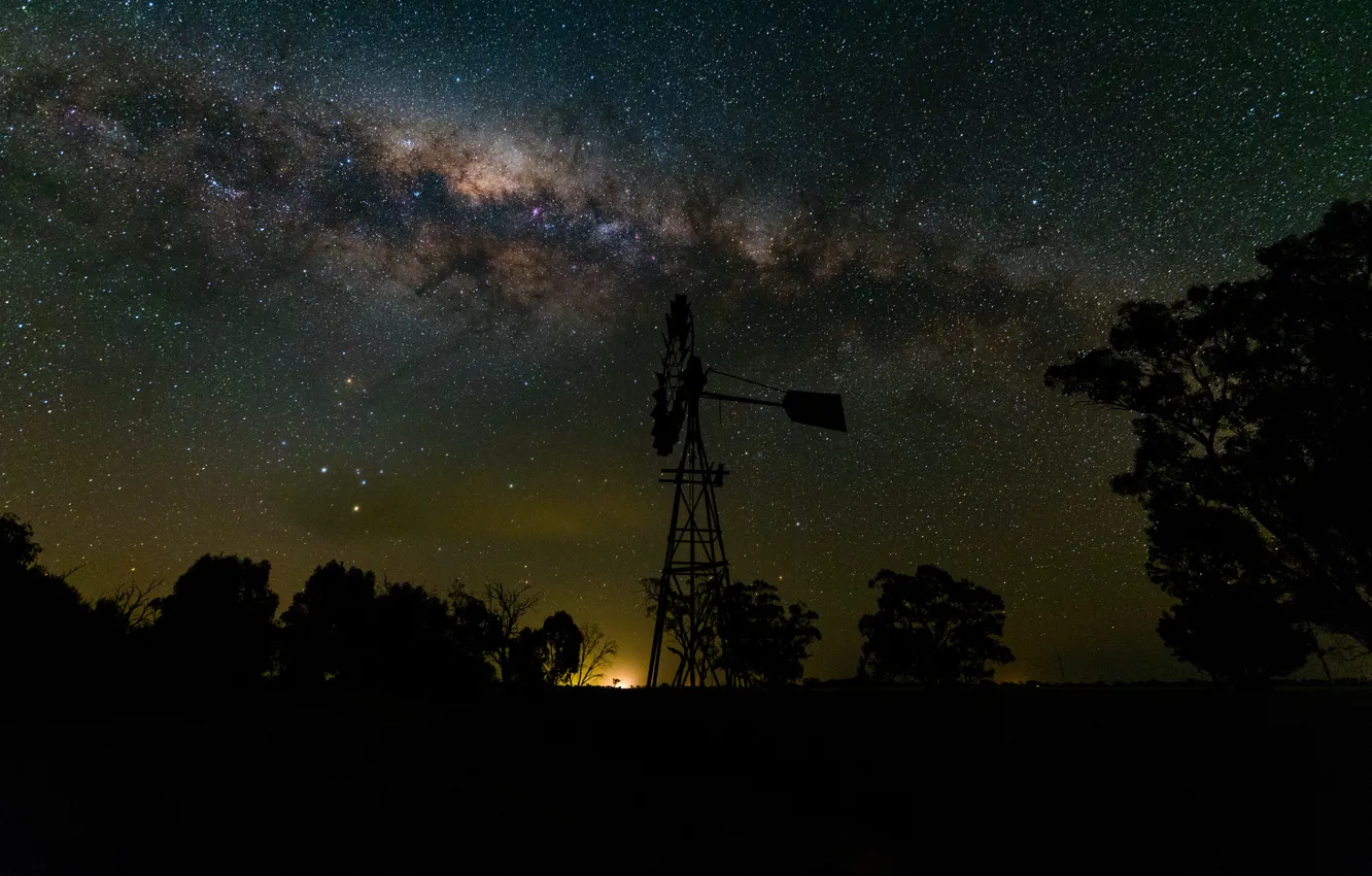 Фото обои космос, звезды, деревья, тени, млечный путь