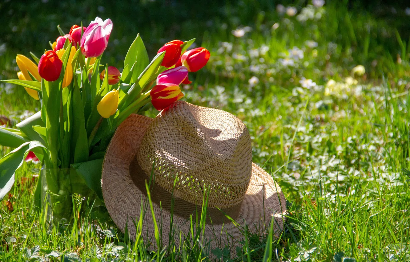 Фото обои Цветы, Тюльпаны, Букет, Шляпа