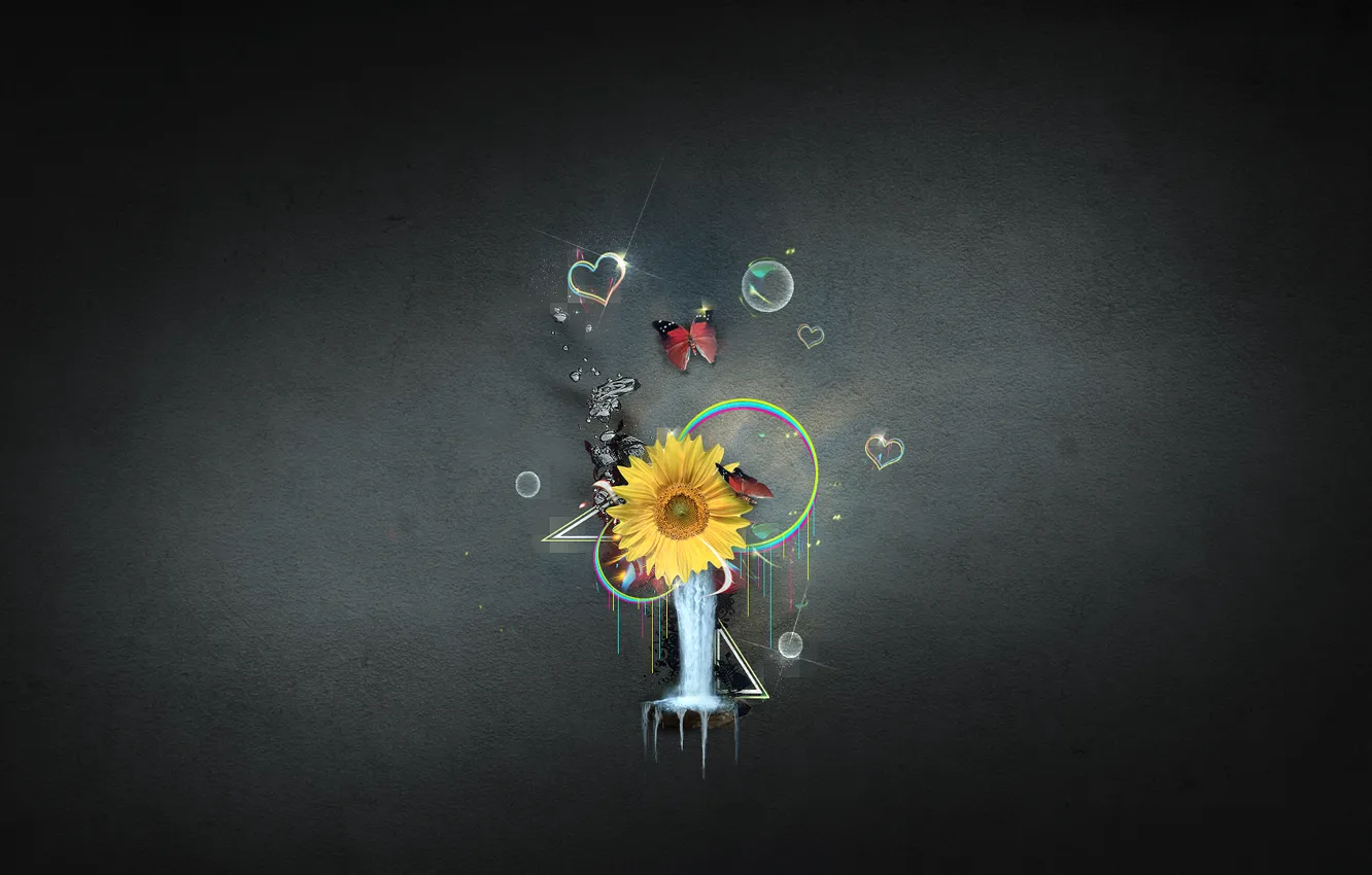 Фото обои цветок, вода, круги, абстракция, стиль, пузыри, узоры, краски
