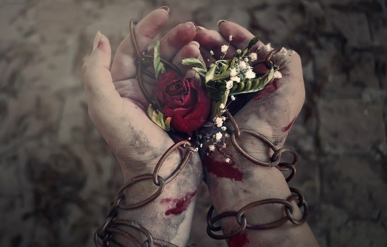 Фото обои цветы, кровь, пыль, руки, цепи