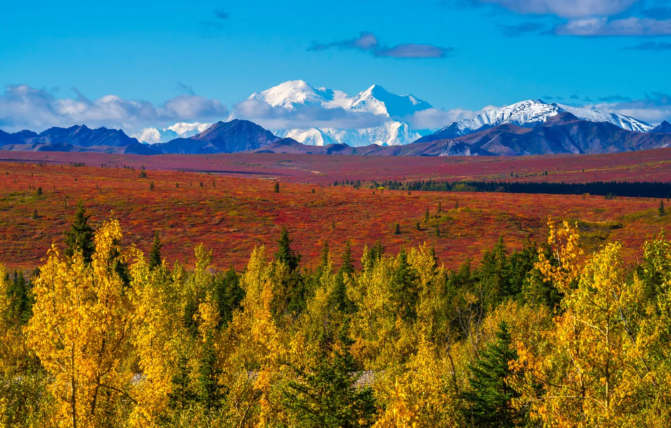 Фото обои осень, горы, парк, США, Denali National