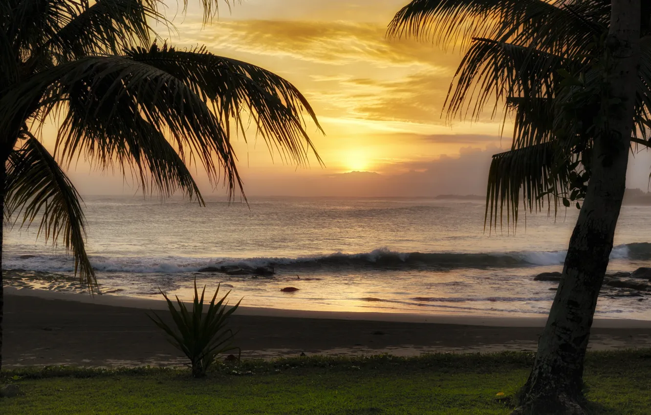 Фото обои море, вода, закат, природа, пальмы, Бали, Martin Fuhrmann