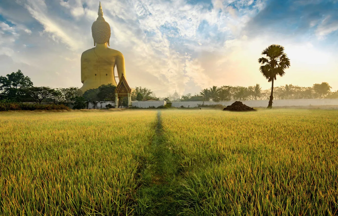 Фото обои поле, тропа, Таиланд, храм, Thailand, статуя Будды
