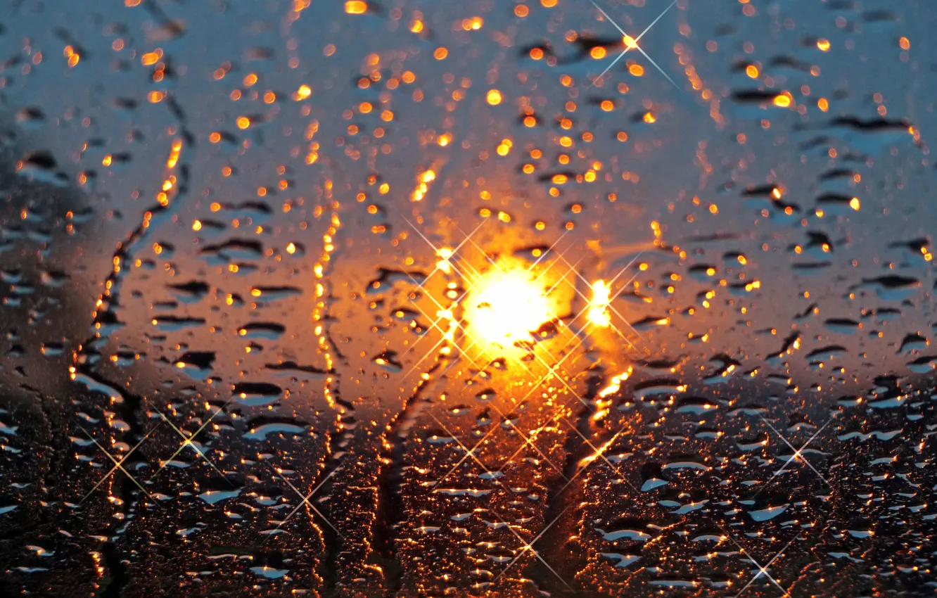 Фото обои стекло, солнце, капли, закат, дождь