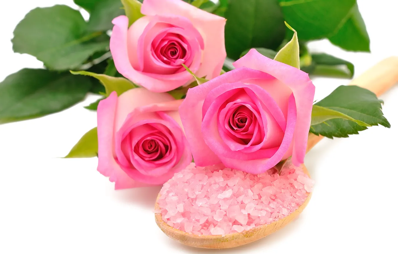 Фото обои цветы, розовые розы, морская соль
