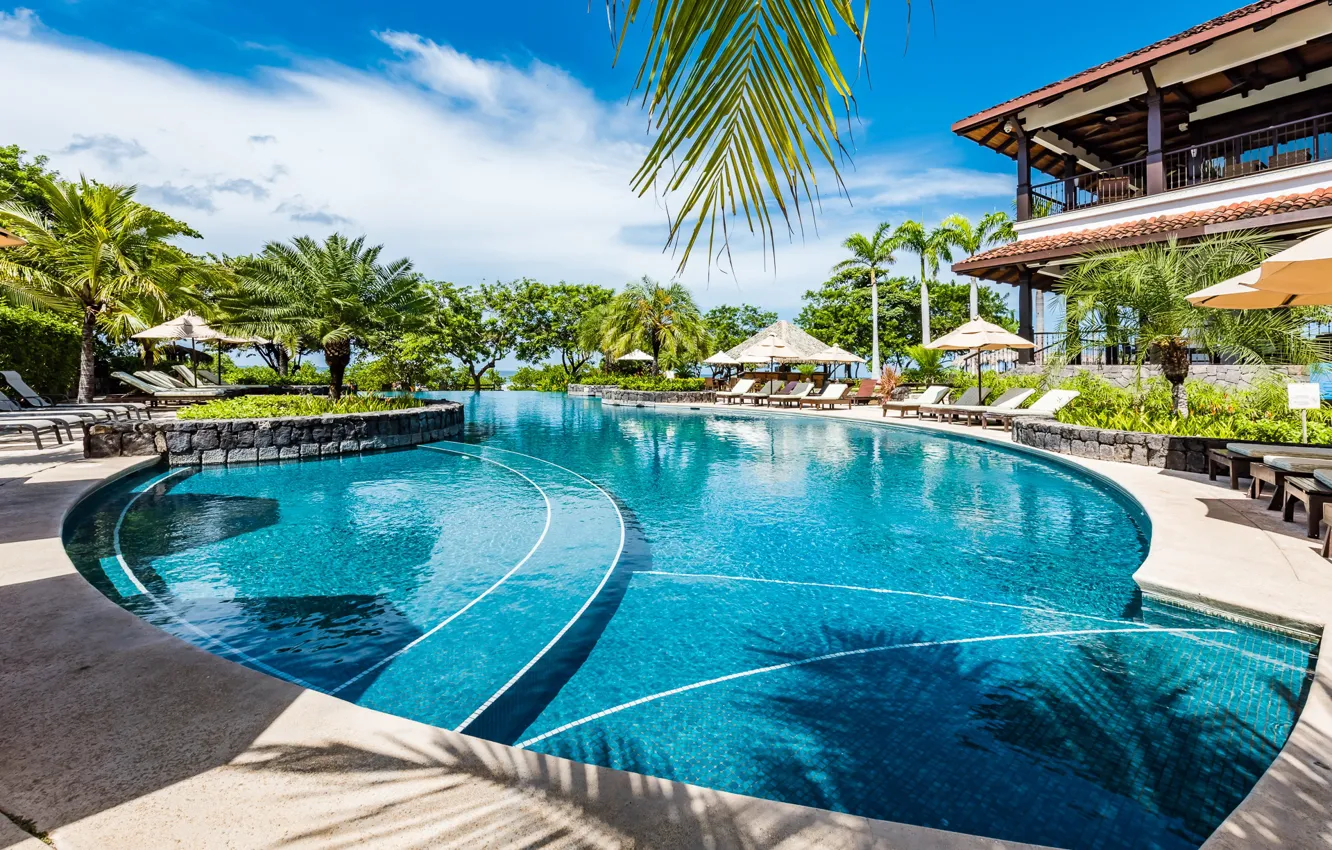 Фото обои пальмы, вилла, бассейн, курорт, Hacienda Pinilla