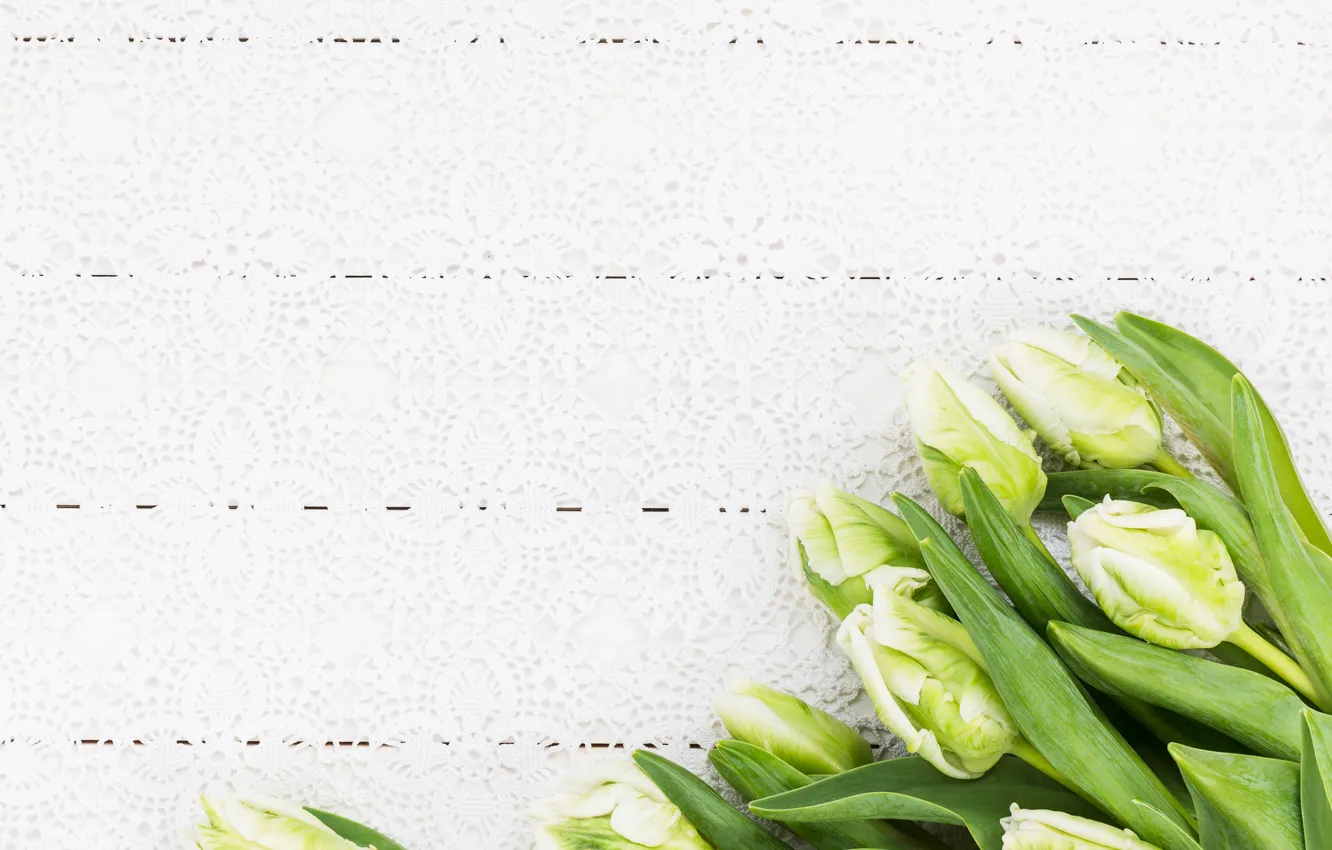 Фото обои белый, фон, букет, тюльпаны, wood, LAIMDOTA GRIVANE