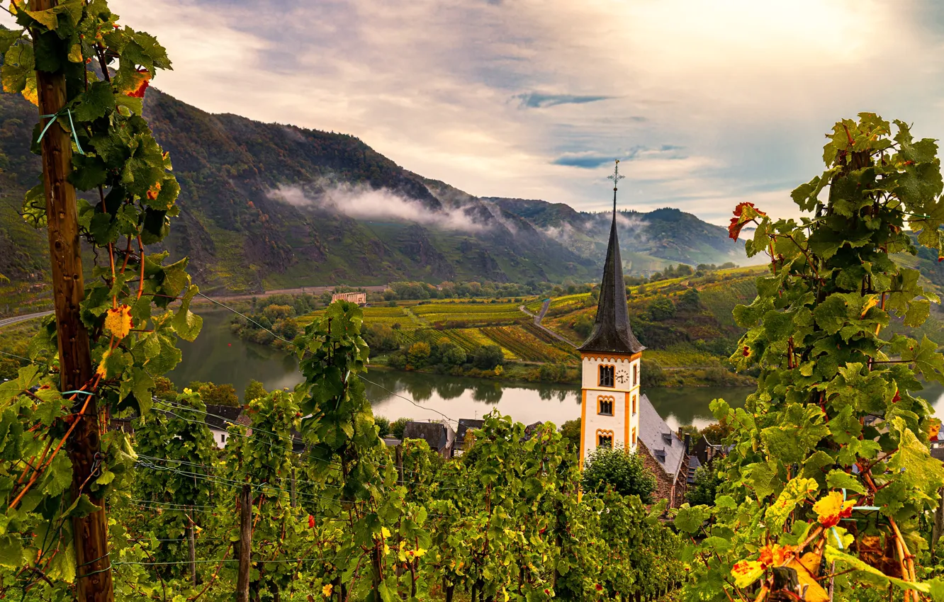 Фото обои река, Германия, церковь, виноградник, Брем