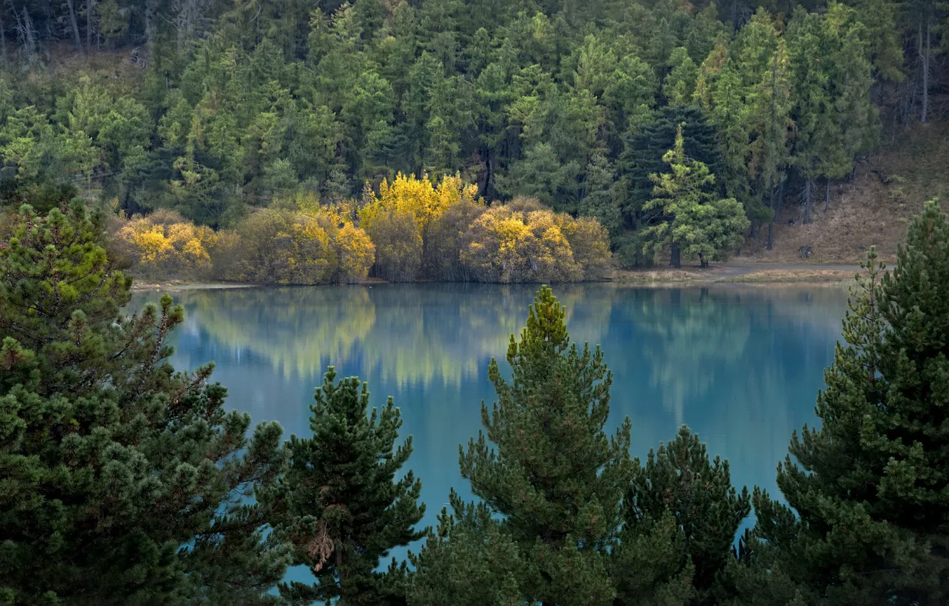 Фото обои осень, лес, озеро