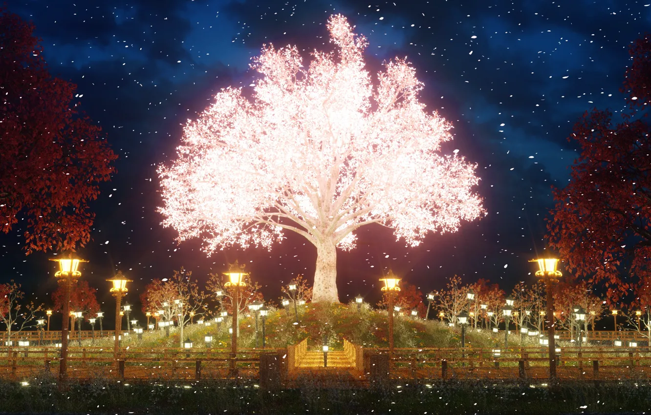 Фото обои парк, вечер, сакура, в цвету