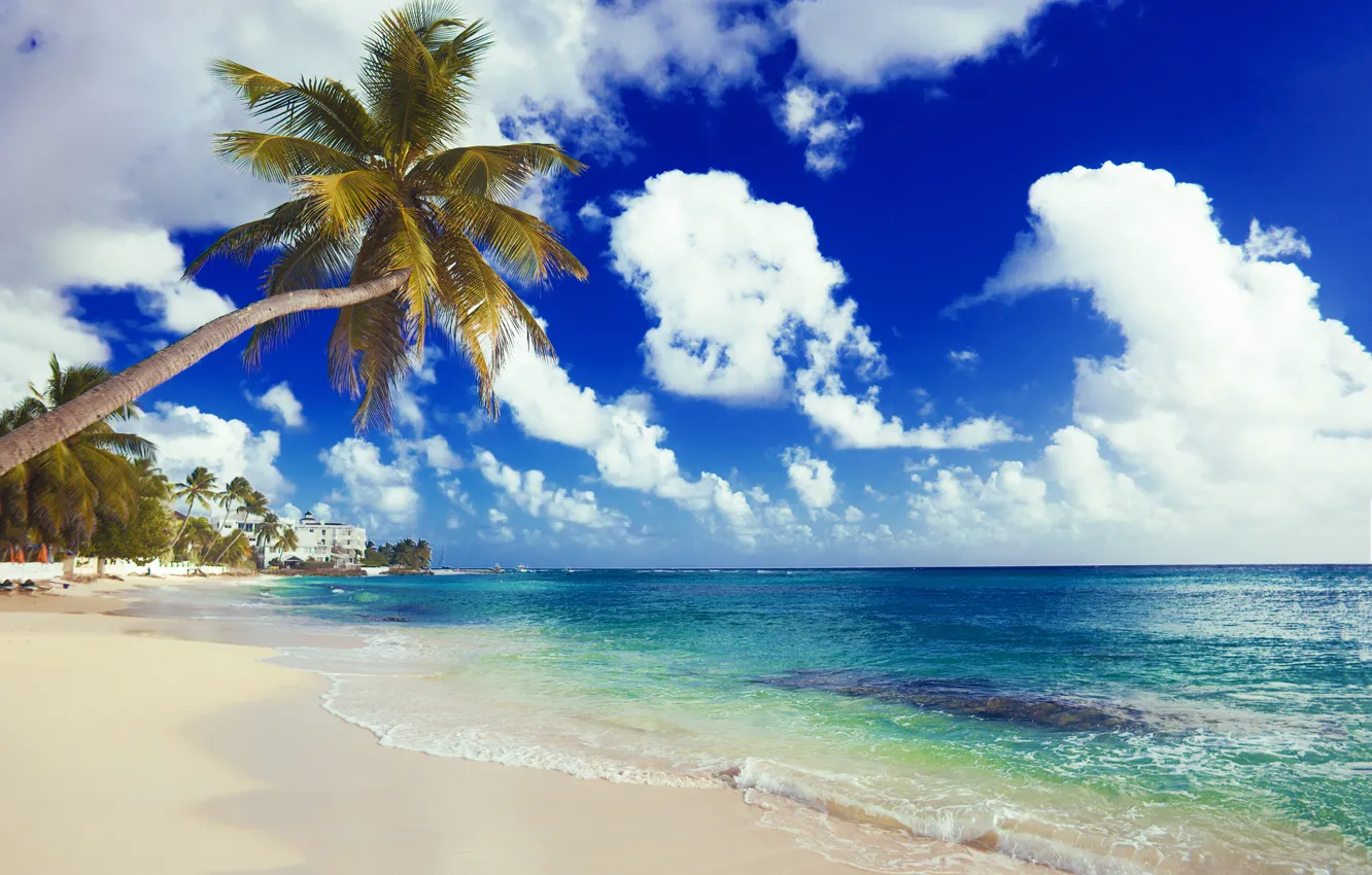 Фото обои песок, море, пляж, солнце, пальмы, берег, summer, beach